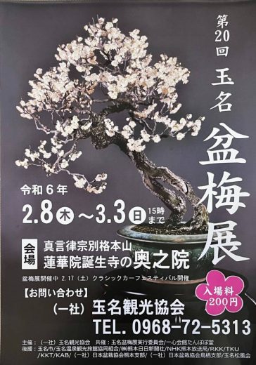 第20回 玉名 盆梅展｜小岱山 妙功寺｜日蓮宗 寺院ページ