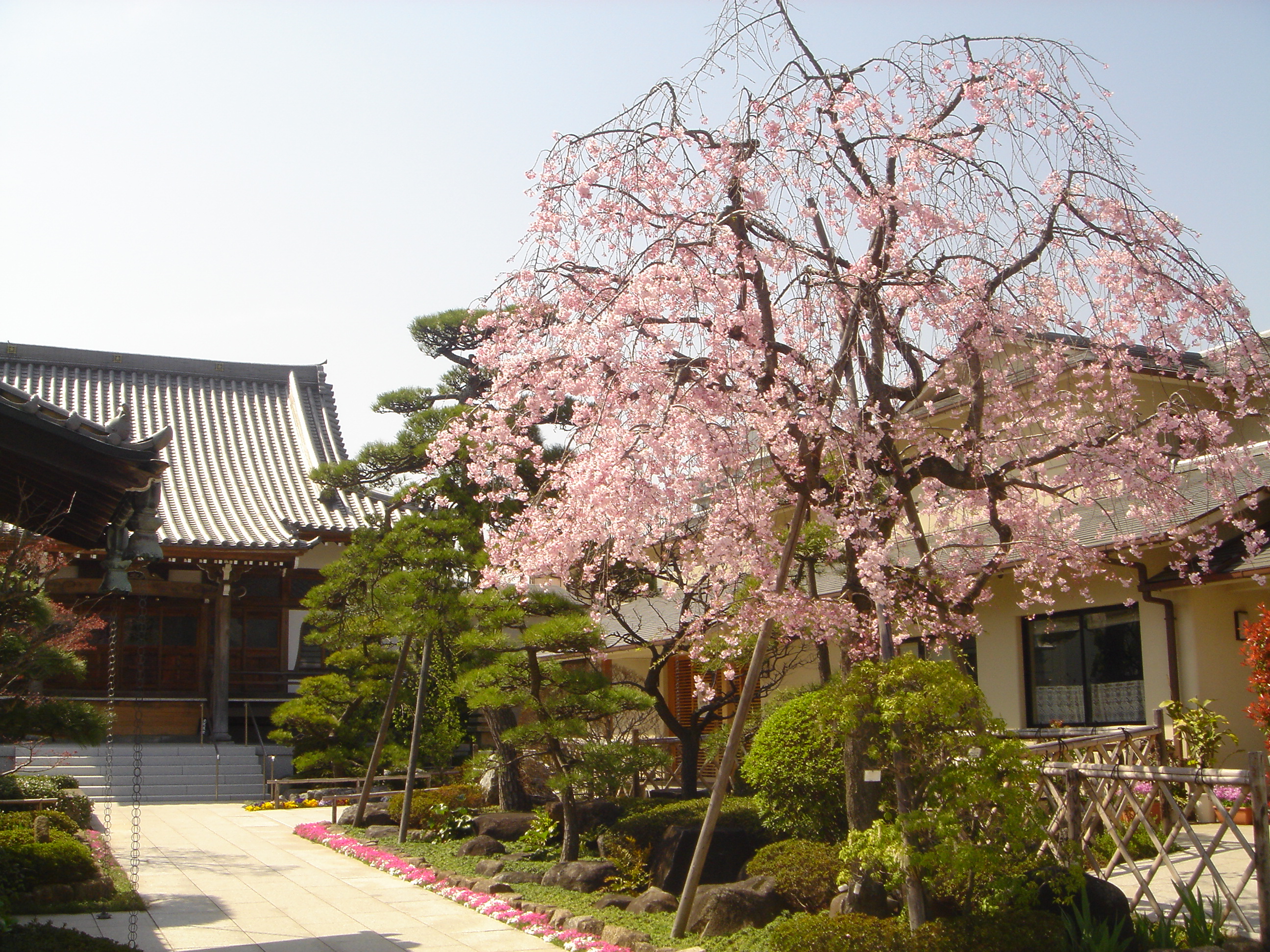 最勝山 上妙寺｜日蓮宗 寺院ページ