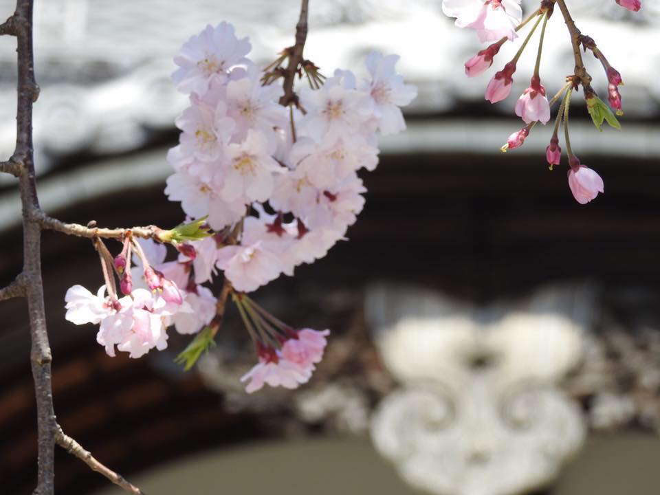 蓮忠山 円眞寺｜日蓮宗 寺院ページ
