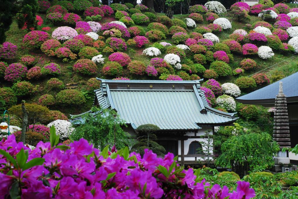 千光山 清澄寺 日蓮宗 寺院ページ