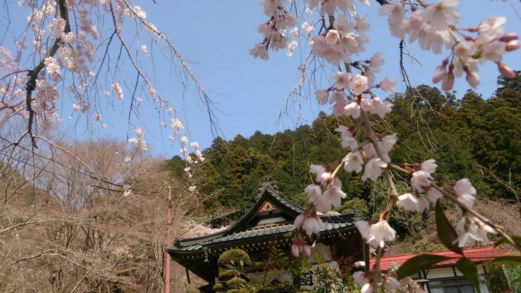 身延山 定林坊｜日蓮宗 寺院ページ