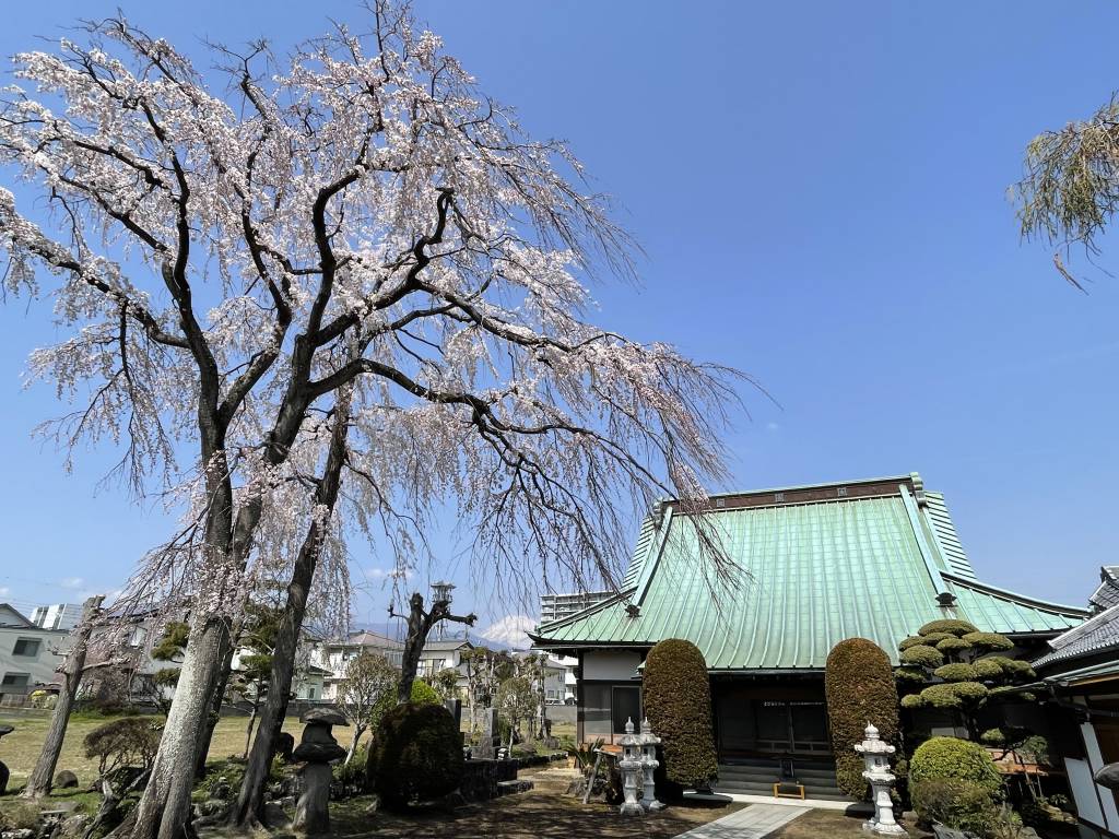 伊豆仁科の式三番と浄瑠璃首 : 静岡県無形民俗重要文化財(須田