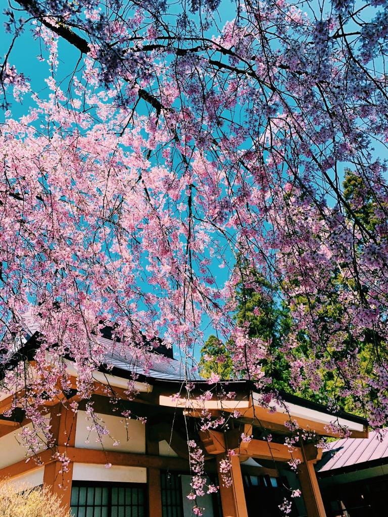 会津坂下町 北辰山 妙運寺｜日蓮宗 寺院ページ